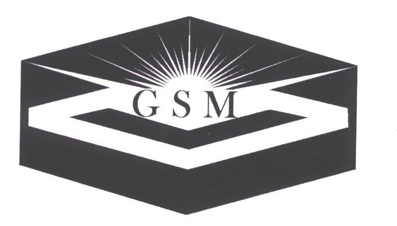 GSM