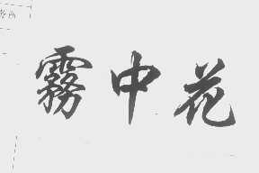 雾中花