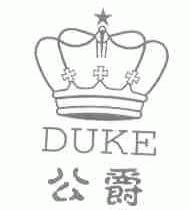 公爵;DUKE