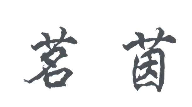 茗茵