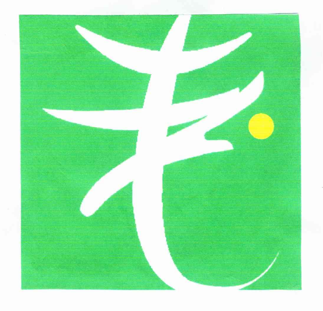 图形