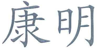 康明