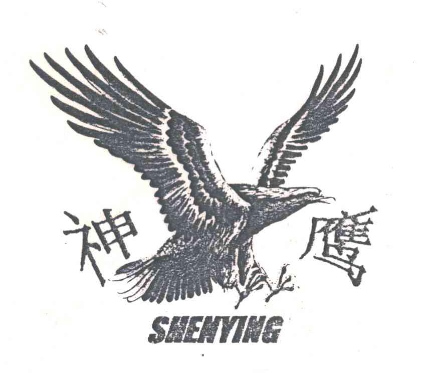 神鹰