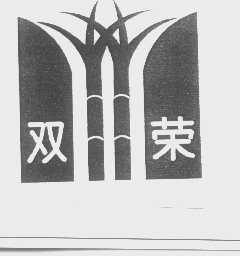 双荣