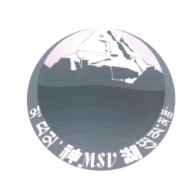 神湖;MSV
