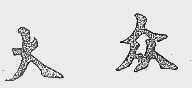大众