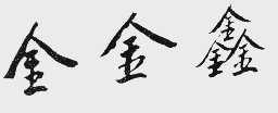 金金鑫