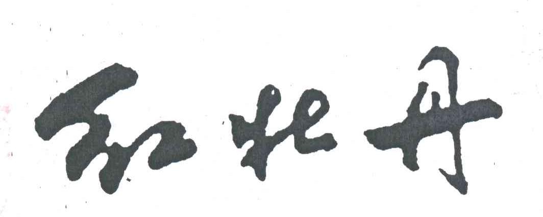红牡丹