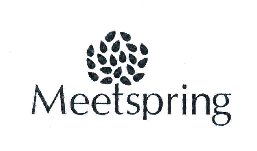 MEETSPRING