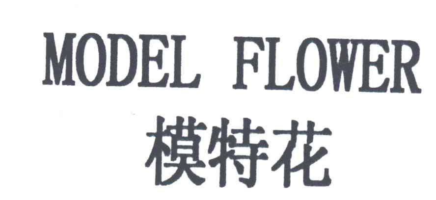 模特花MODEL FLOWER