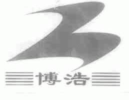 博浩