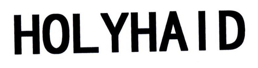 HOLYHAID