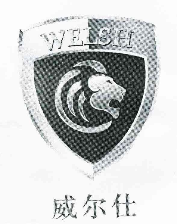 威尔仕 WELSH