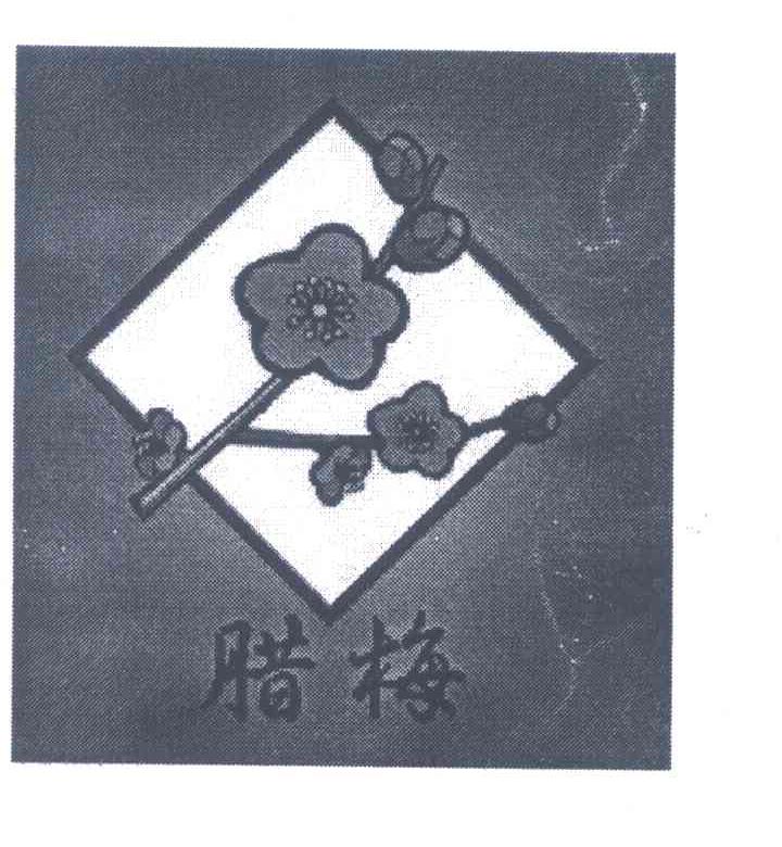 腊梅