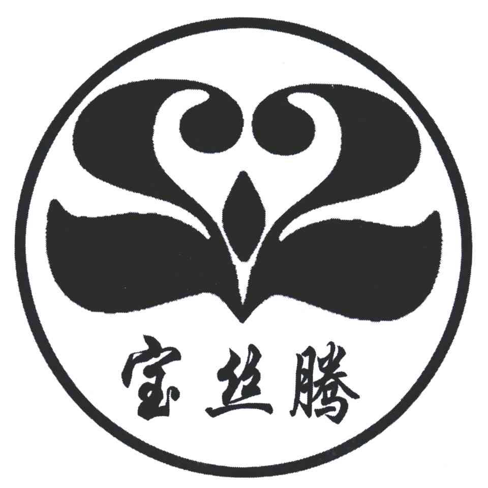 宝丝腾