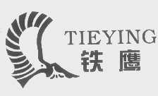 铁鹰