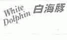 白海豚;WHITE DOLPHIN