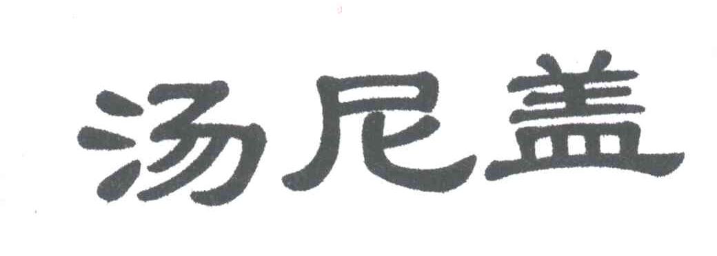 汤尼盖