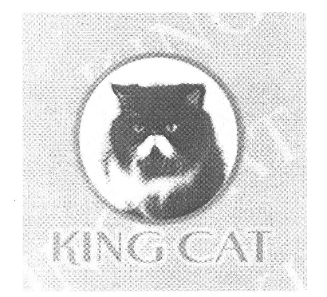 KINGCAT