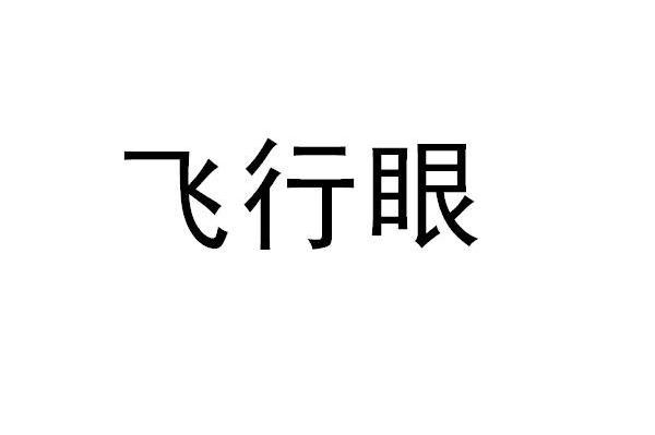 飞行眼