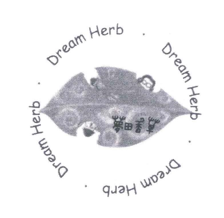 DREAM HERB;梦田香草