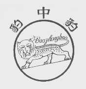 豹中豹