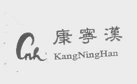 康宁汉   CNH