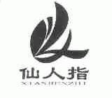 仙人指