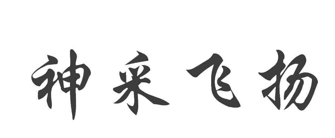 神采飞扬