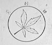 黄荆