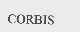 CORBIS