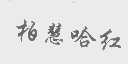 柏慧哈红