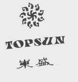 东盛   TOPSUN
