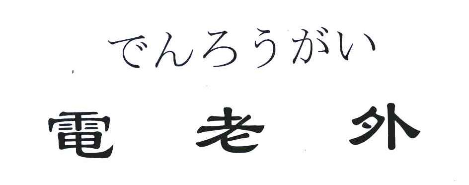 电老外