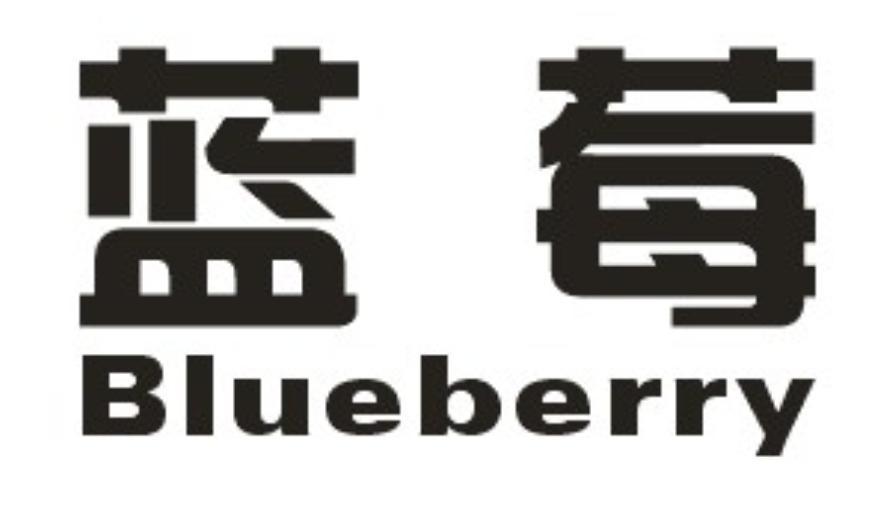 蓝莓 BLUEBERRY