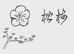 松梅