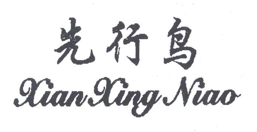 先行鸟