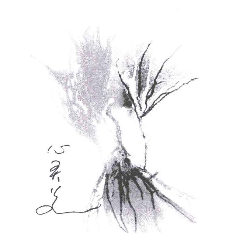 心灵美