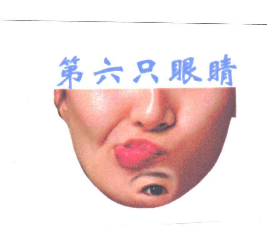 第六只眼睛