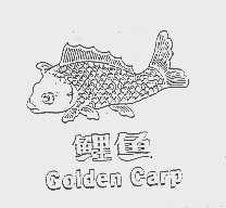 鲤鱼   GOIDEN CARP