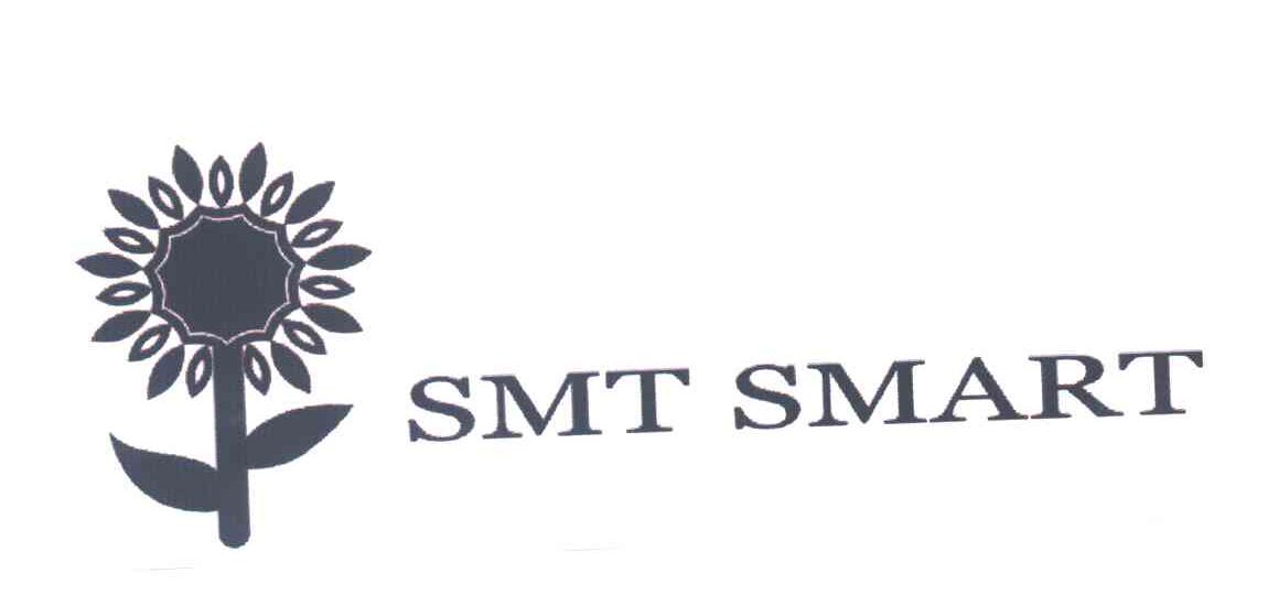 SMT SMART