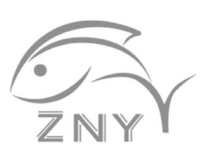 ZNY