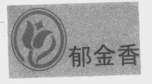 郁金香