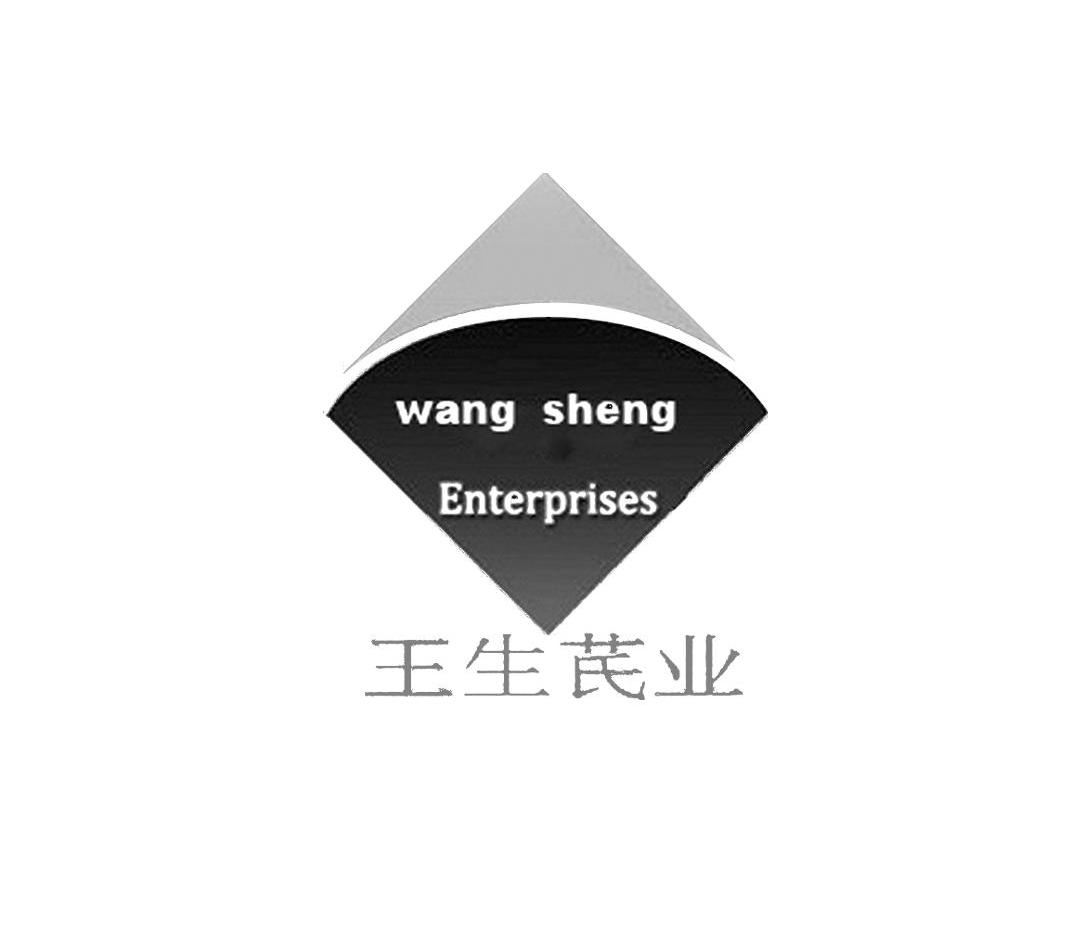 王生芪业 WANG SHENG ENTERPRISES