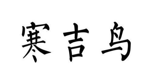 寒吉鸟