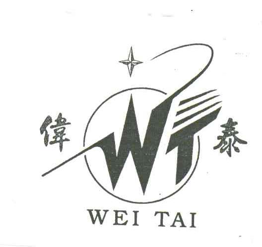 伟泰;WT