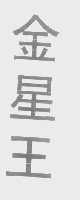 金星王