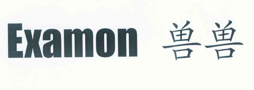 兽兽 EXAMON