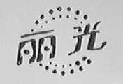 丽光