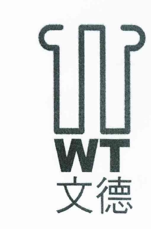 文德 WT